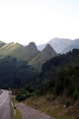 Picos de europa